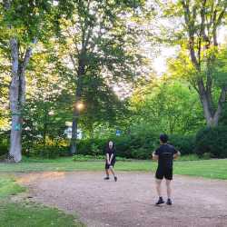 Sommerabend am Feuer – ein voller Erfolg! Sommerabend am Feuer – ein voller Erfolg!