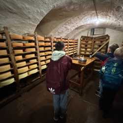 Spannende Einblicke in die Bio-Landwirtschaft Spannende Einblicke in die Bio-Landwirtschaft