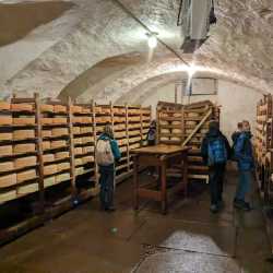 Spannende Einblicke in die Bio-Landwirtschaft Spannende Einblicke in die Bio-Landwirtschaft