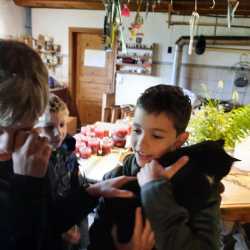 Spannende Einblicke in die Bio-Landwirtschaft Spannende Einblicke in die Bio-Landwirtschaft