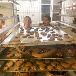 Spannende Einblicke und köstliche Ergebnisse Spannende Einblicke und köstliche Ergebnisse