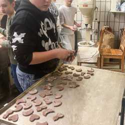 Spannende Einblicke und köstliche Ergebnisse Spannende Einblicke und köstliche Ergebnisse