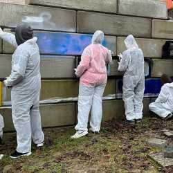 Teampraktika werden in Gallery-Walk ausgestellt Teampraktika werden in Gallery-Walk ausgestellt