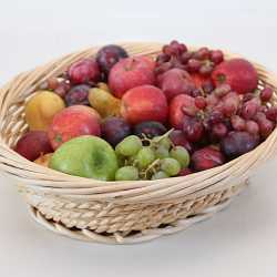 Viele Ergebnisse beim pädagogischen Tag Viele Ergebnisse beim pädagogischen Tag