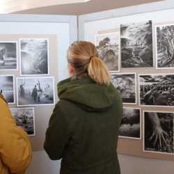 Viele Ergebnisse beim pädagogischen Tag Viele Ergebnisse beim pädagogischen Tag
