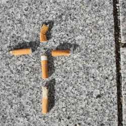 Viele Ergebnisse beim pädagogischen Tag Viele Ergebnisse beim pädagogischen Tag