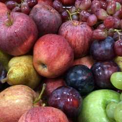 Viele Ergebnisse beim pädagogischen Tag Viele Ergebnisse beim pädagogischen Tag