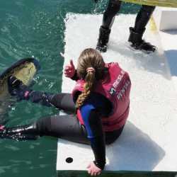 Wakepark-Ausflug: Sonne, Wasser, Action! Wakepark-Ausflug: Sonne, Wasser, Action!