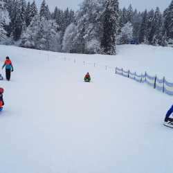 Wintersport auf Skiern, Schlitten und Kufen Wintersport auf Skiern, Schlitten und Kufen