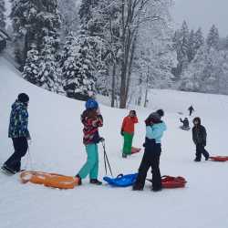 Wintersport auf Skiern, Schlitten und Kufen Wintersport auf Skiern, Schlitten und Kufen