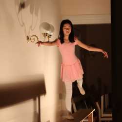 Zirkusmusical verzaubert das Publikum Zirkusmusical verzaubert das Publikum