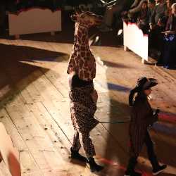 Zirkusmusical verzaubert das Publikum Zirkusmusical verzaubert das Publikum