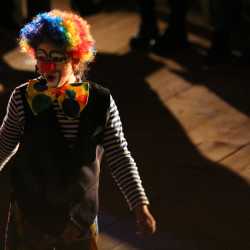 Zirkusmusical verzaubert das Publikum Zirkusmusical verzaubert das Publikum