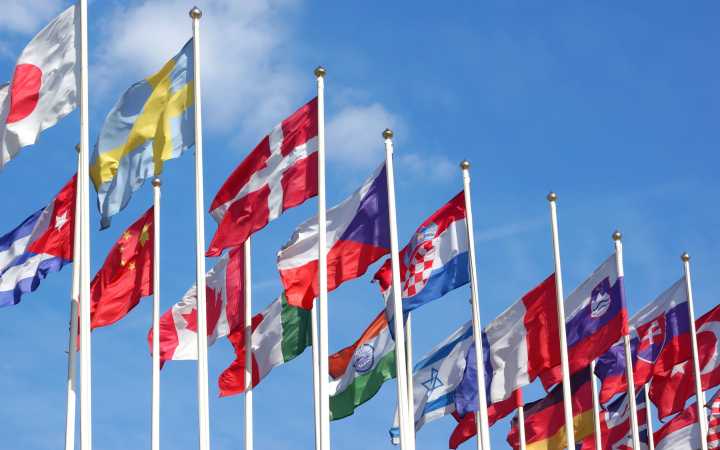 international international