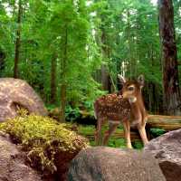 Angehende Erzieher erfinden Spiele Angehende Erzieher erfinden Spiele