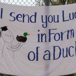 Deutschprüfung am ZG und SWG