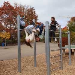 Neues Calisthenics-Gerät: Schülerinitiative bringt Bewegung auf den Schulhof