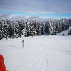 Skispaß am Feldberg
