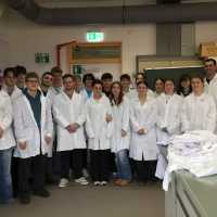 Bakterien der Spur: Leistungsfach Biologie forscht im Labor