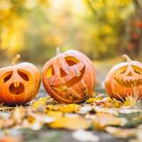 Herbstliche Woche in der Mensa