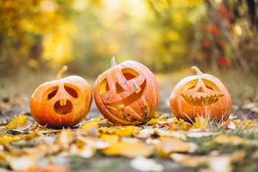 Herbstliche Woche in der Mensa