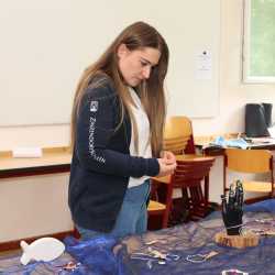Schulfest der Zinzendorfschulen mit Blick in die Zukunft: Neue Sporthalle vorgestellt