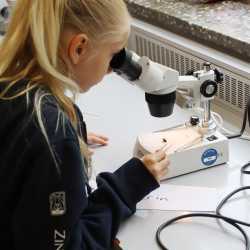 Schulfest der Zinzendorfschulen mit Blick in die Zukunft: Neue Sporthalle vorgestellt