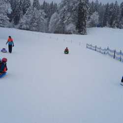 Wintersport auf Skiern, Schlitten und Kufen