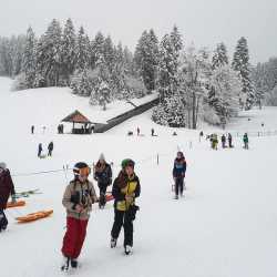 Wintersport auf Skiern, Schlitten und Kufen