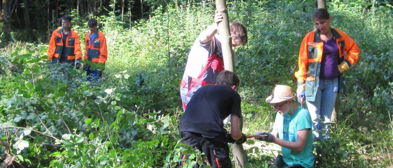 Arbeitseinsatz im Waldschulheim