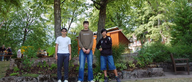 Ali, Frédéric und Anatole