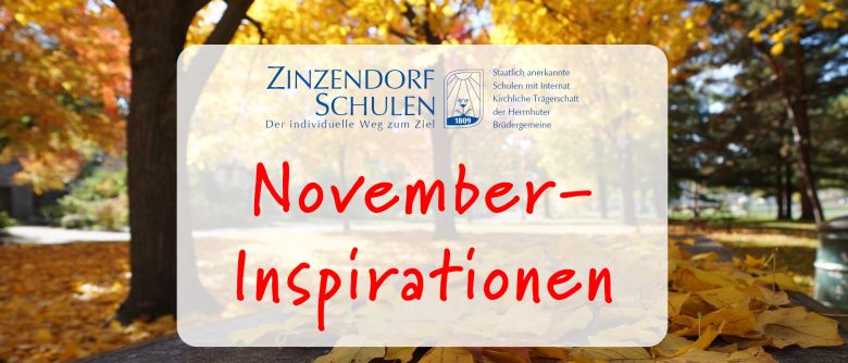 Neue Video-Serie mit Inspirationen für jeden Monat