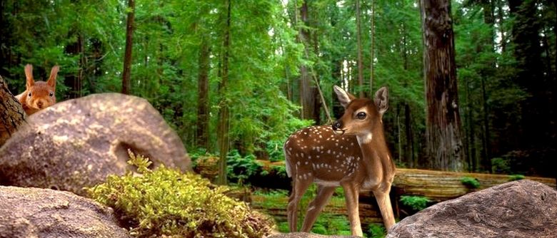 Angehende Erzieher erfinden Spiele
