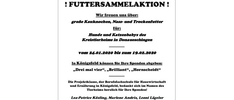 Projektklasse sammelt für das Kreistierheim