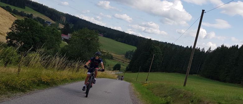 Radtour ins Blaue bringt Garfield in den Stall