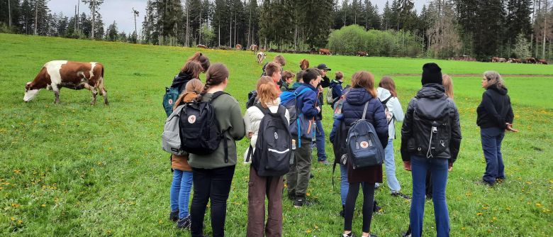 Landwirtschaft hautnah: Sechstklässler besuchen Untermühlbachhof