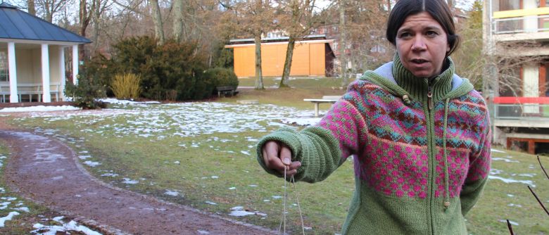 Festschmaus für die Wildvögel