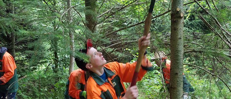 Fichten fällen und Kompass lesen: 8R im Waldlandheim