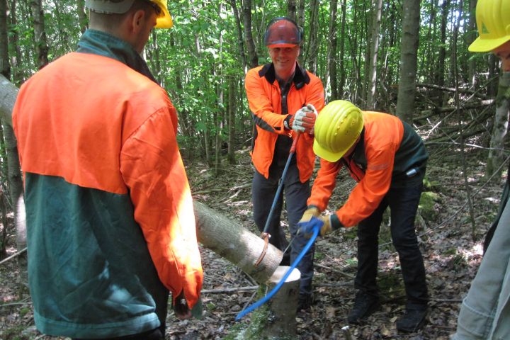 waldlandheim_4.jpg