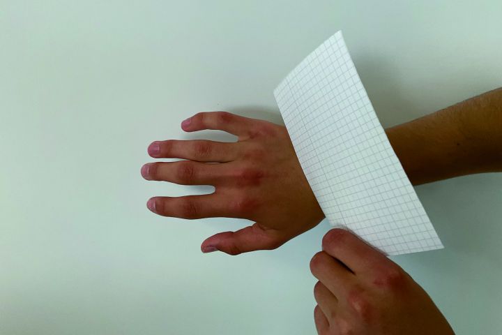 animation_8.jpg