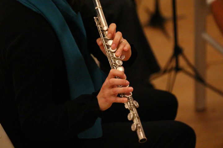 ast_konzert_17.jpg