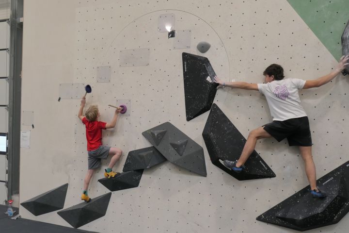 blocwald_6.jpg