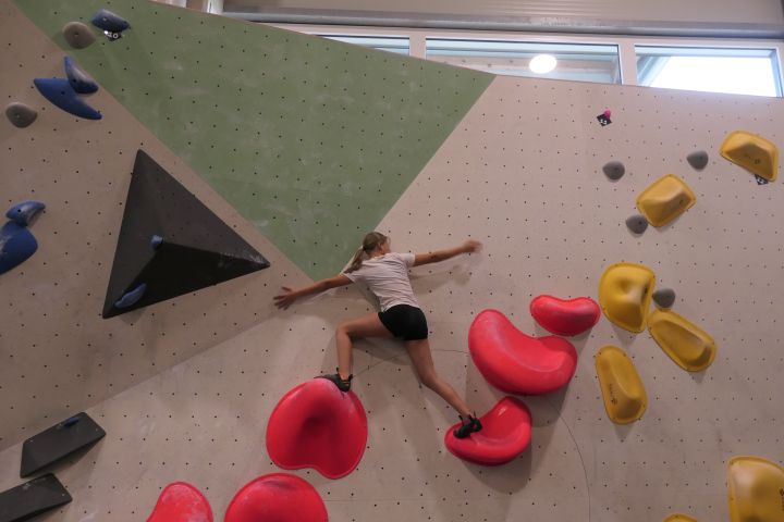 blocwald_7.jpg