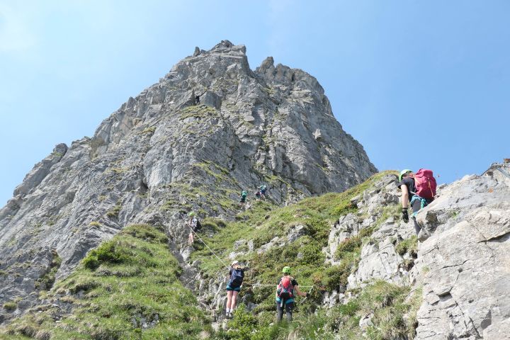 braunwald_1.jpg