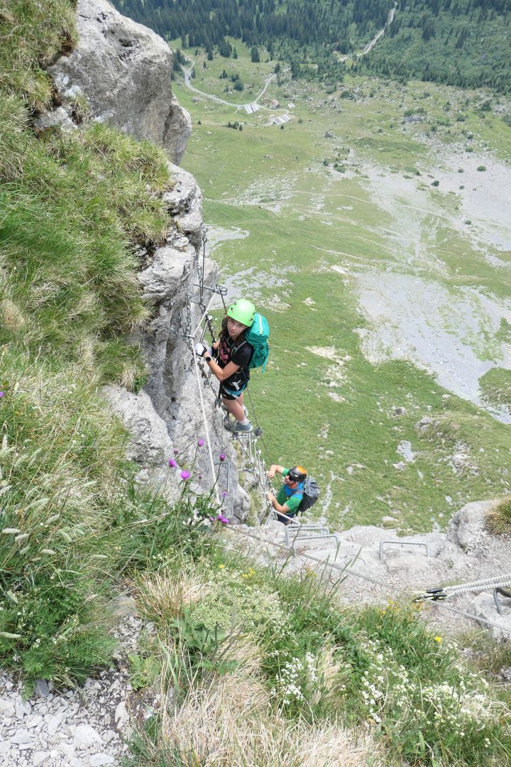 braunwald_10.jpg