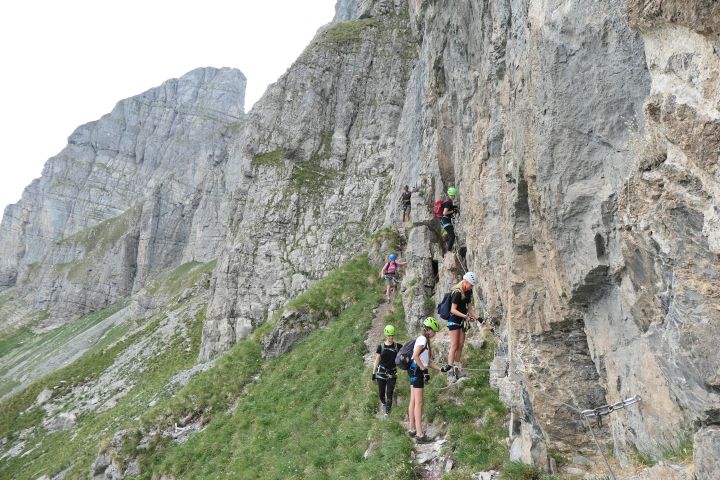 braunwald_13.jpg