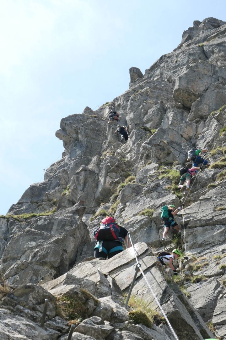 braunwald_15.jpg