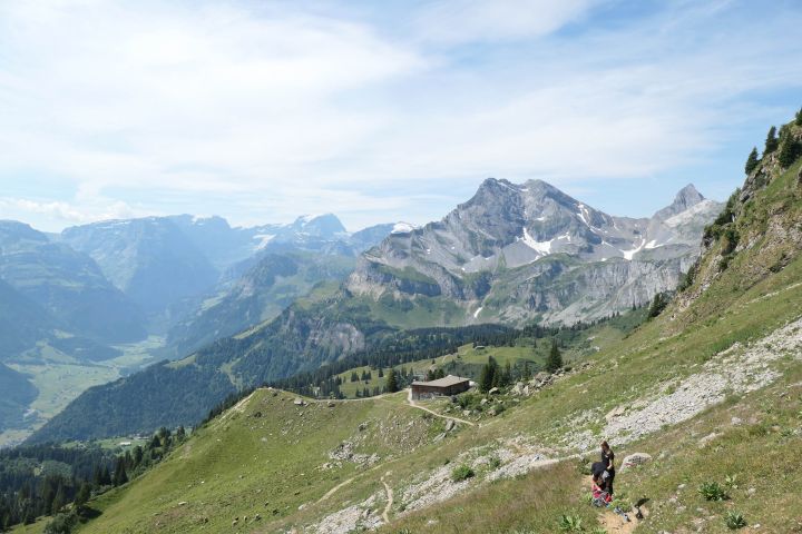 braunwald_18.jpg