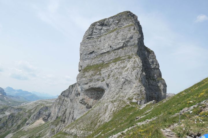 braunwald_8.jpg