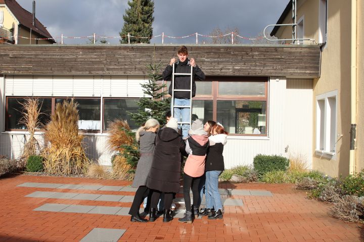 eisbaer_4.jpg